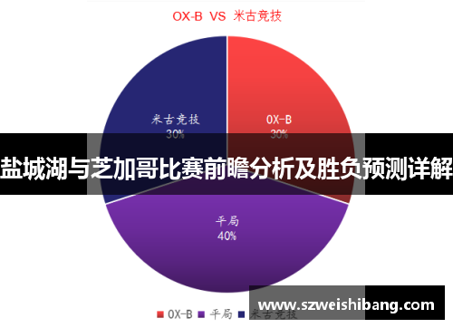 盐城湖与芝加哥比赛前瞻分析及胜负预测详解