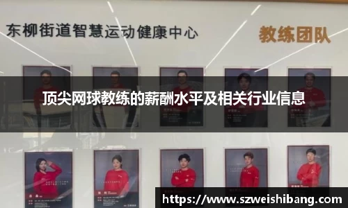 顶尖网球教练的薪酬水平及相关行业信息